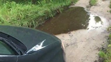 Orman yolları binmek