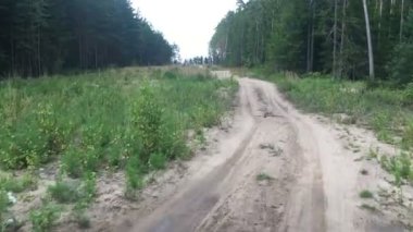 Orman yolu. Orman yolu boyunca hareket