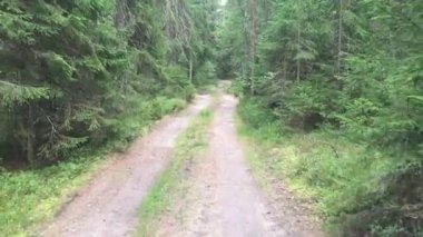 Orman yolu. Orman yolu boyunca hareket