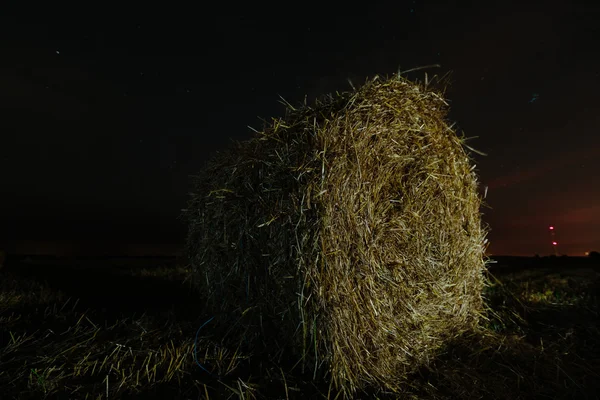 Roll dry hay in the field — Stock Photo, Image