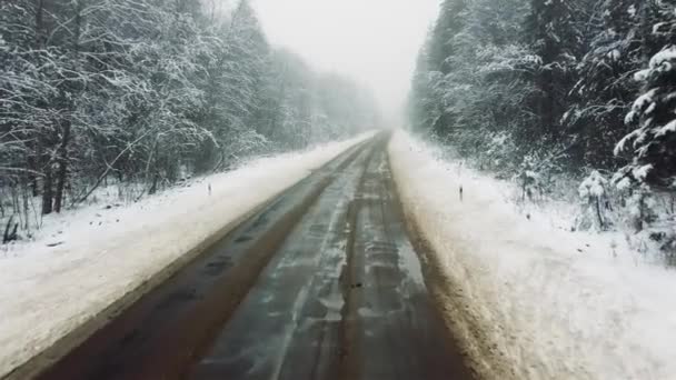 穿越冬季雾雾森林的道路航拍录像 — 图库视频影像