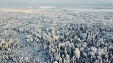 Kış Ormanı Hava Videosu