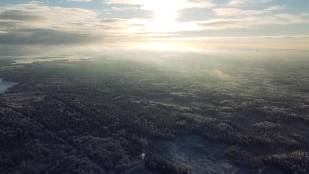 Vidéo aérienne de la forêt de neige d'hiver — Video