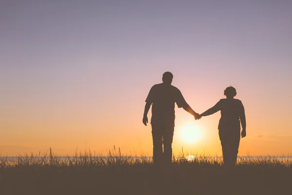 Senior koppel bedrijf handen silhouetten — Stockfoto