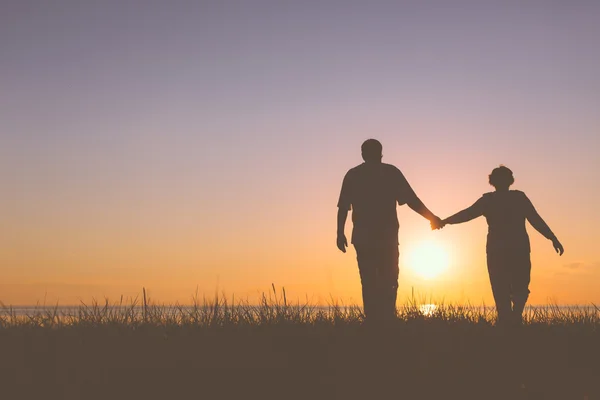 Senior koppel bedrijf handen silhouetten — Stockfoto