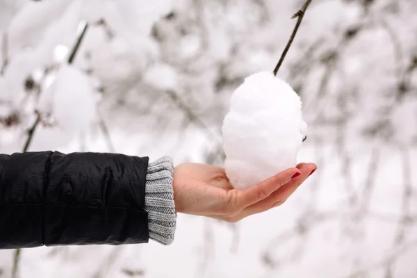 Snön täckte gren i en hand — Stockfoto