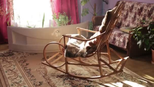 Rocking chair — Stock Video