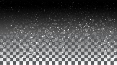 Falling snow on a transparent background