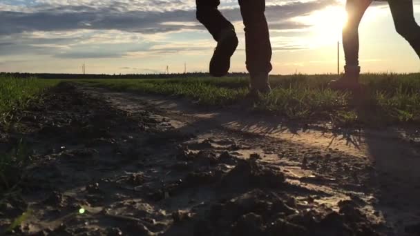 Silhouette of a young couple holding hands — Stock Video