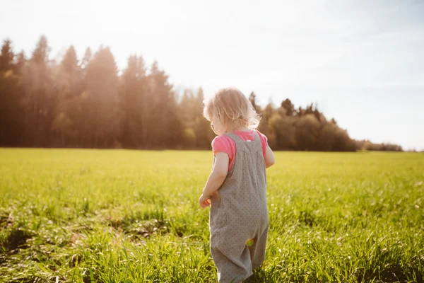 Little girl walks in the park — Stock Photo, Image