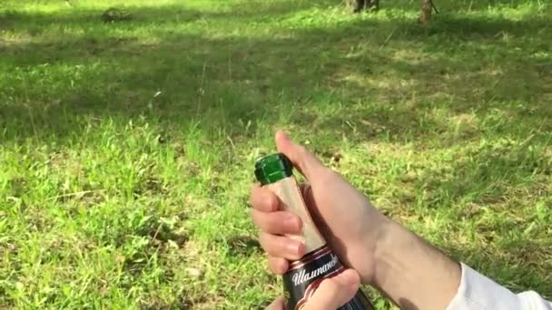 Een fles champagne openen — Stockvideo