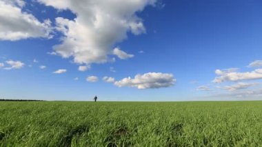 çayır üzerinde çalışan küçük kız