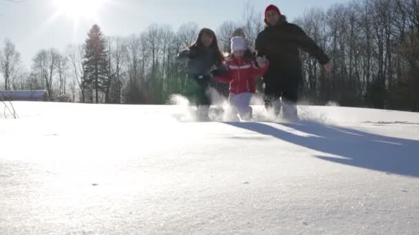 运行在雪中的家庭 — 图库视频影像
