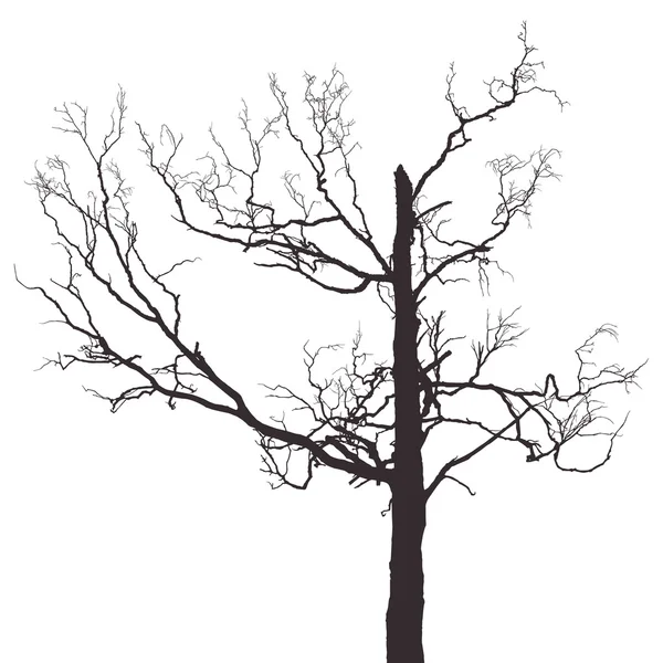 Arbre effrayant — Image vectorielle