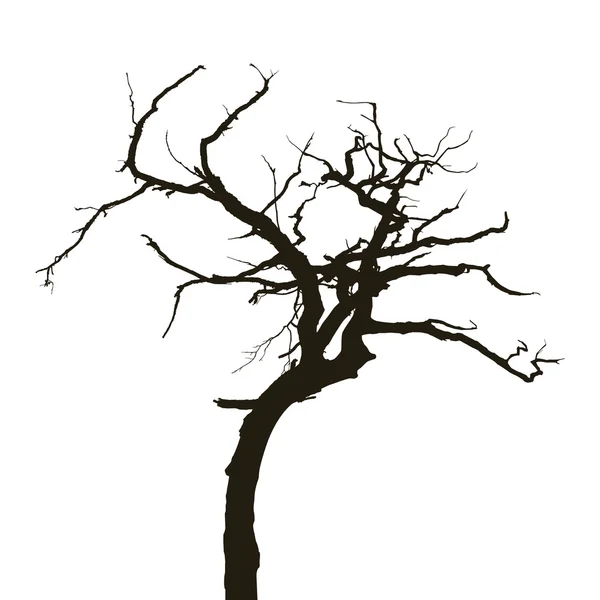 Böjda träd — Stock vektor