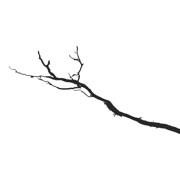 Branches mortes — Image vectorielle