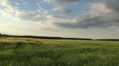 Fırtına öncesi sessizlik Panorama geniş çayır
