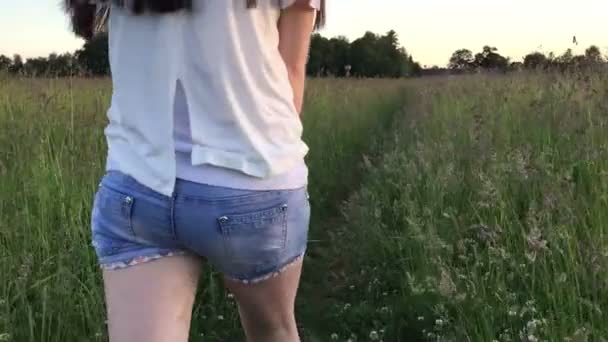 Chica en pantalones cortos de mezclilla pasa por la hierba larga — Vídeo de stock