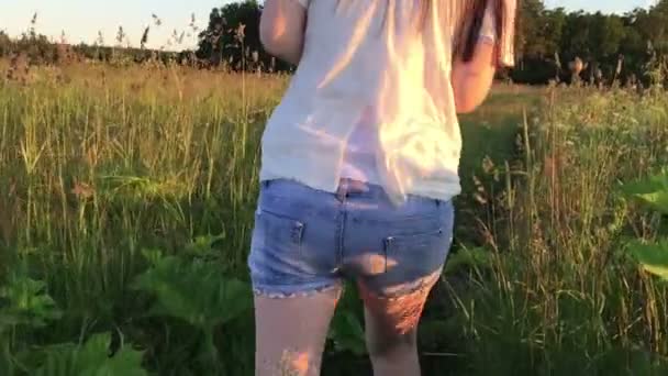 Girl in denim shorts goes through the long grass — Stock Video