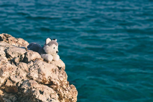 Stofftier auf einem Felsen gegen das Meer — Stockfoto