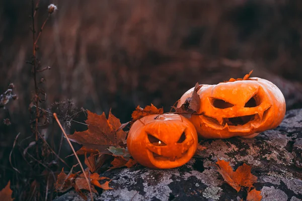 Calabazas de Halloween en el bosque en piedra . — Foto de Stock