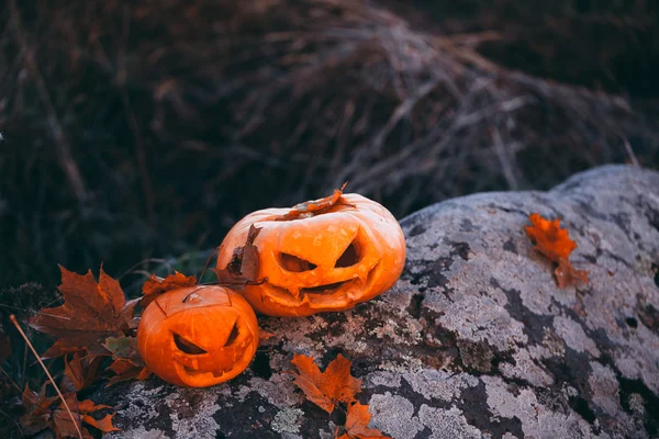 Calabazas de Halloween en el bosque en piedra . — Foto de Stock