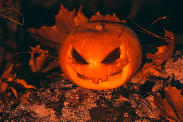 Foto de calabaza de Halloween en el bosque . — Foto de Stock