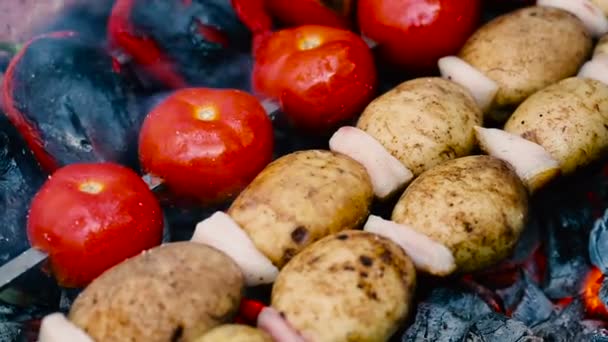 Fruit spiesjes op barbecue grill. — Stockvideo