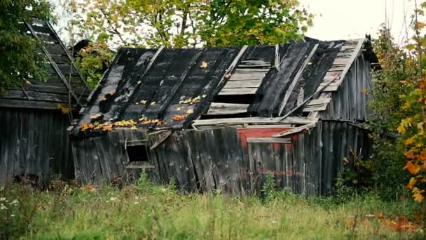 Old abandoned barn. — Stock Video