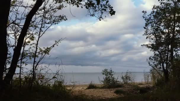 Timelapse vista del paisaje desde el bosque . — Vídeos de Stock