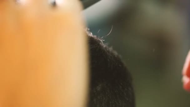 Barber cuts the hair of the client. — Stock Video