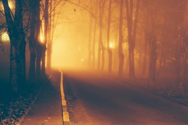 Темна алея в тумані . — стокове фото