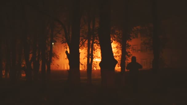 Les arbres et la silhouette d'un moine dans le parc . — Video