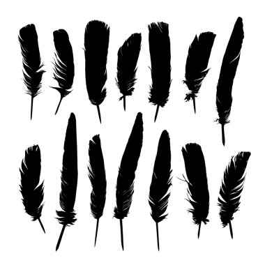 Boyalı siyah tüyler.