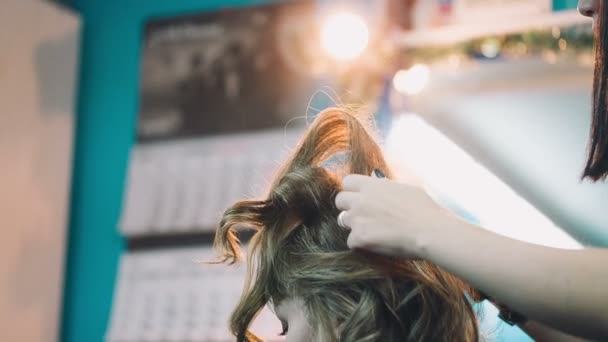 Cabeleireiro endireita o cabelo do cliente . — Vídeo de Stock