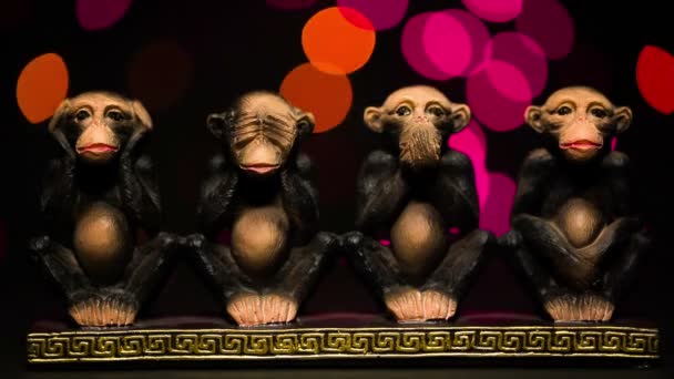 Figure four symbolic monkeys on bokeh background. — Stock Video