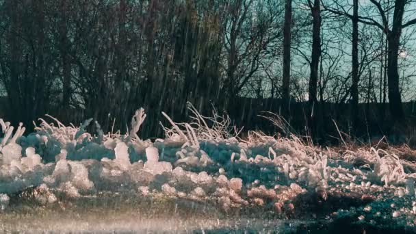 Ice in nature rose quartz color against water splashing. — Stock Video