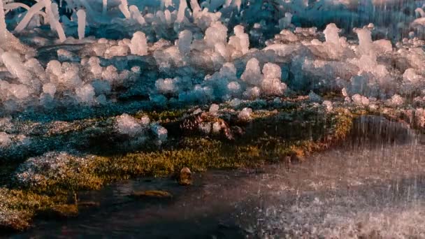 얼음과 물 튀는 놀라운 형태. — 비디오