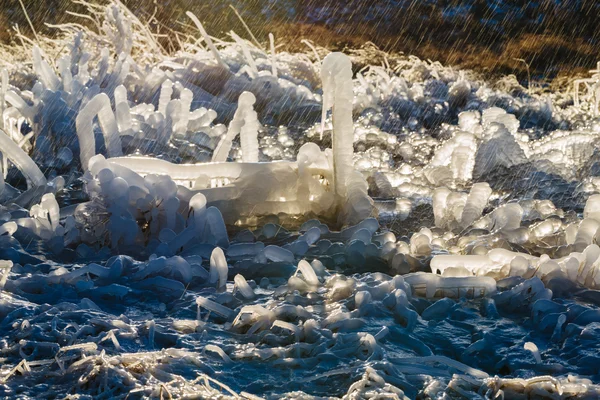 Iced over grass in an amazing form with water splashing. — Stock Photo, Image