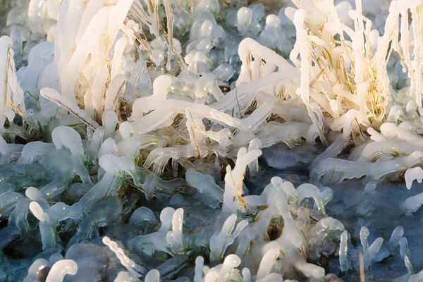 Hielo sobre hierba en una forma hermosa abstracta . —  Fotos de Stock