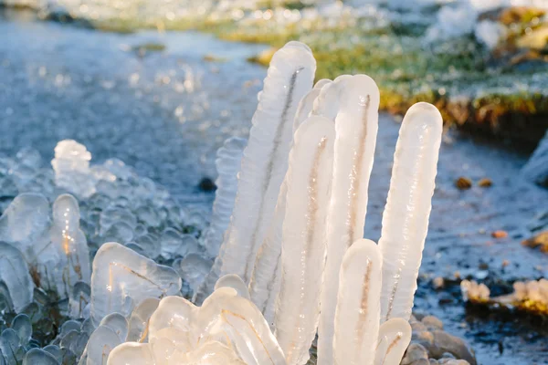 Iced over grass in an abstract beautiful form. — Stock Photo, Image