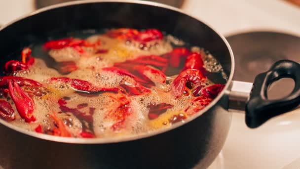 Rivierkreeft worden gekookt in een pot. — Stockvideo