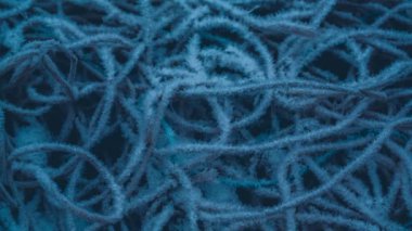 Donmuş teller ateşe.