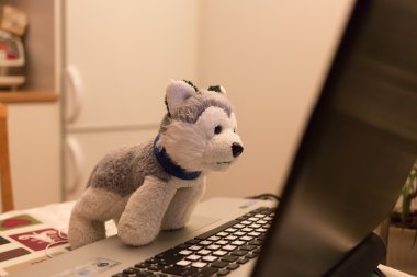 Peluş oyuncak köpek dikkatle içinde belgili tanımlık laptop görünüyor.