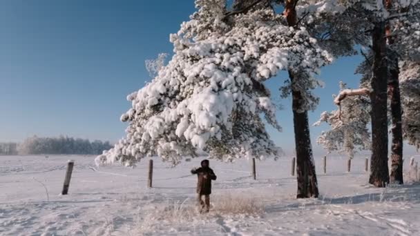 男人想要挑起一根树枝，雪分散. — 图库视频影像