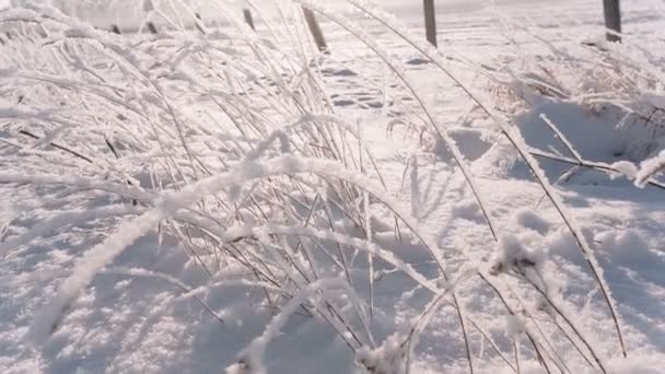 Kamera bewegt sich von unten nach oben und nimmt ein großes Feld mit Schnee übersät. — Stockvideo