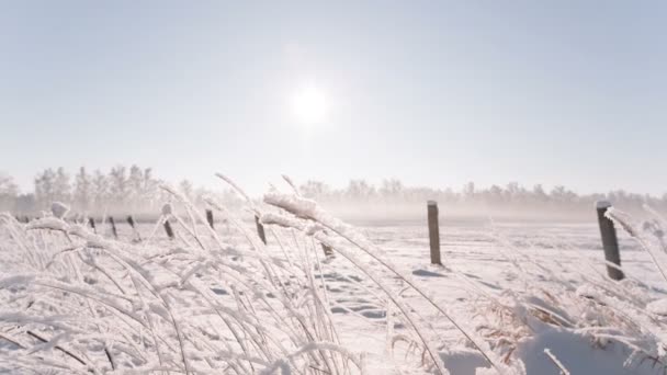 Camera beweegt van onderen omhoog verwijderen van een groot veld met sneeuw bedekt. — Stockvideo