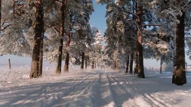 Caméra prend un bas vers le haut et offre un aperçu de la ruelle d'hiver . — Video