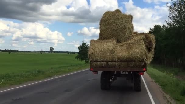 Vůz nese seno na cestě. — Stock video