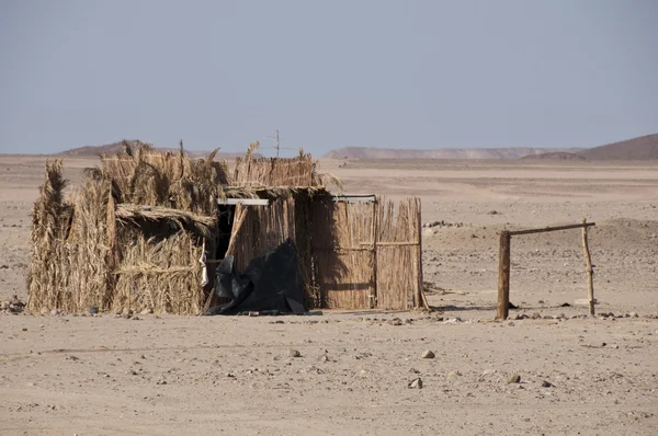 Desierto — Foto de Stock